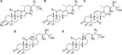 Triterpenoids From Alisma Species: Phytochemistry, Structure Modification, and Bioactivities